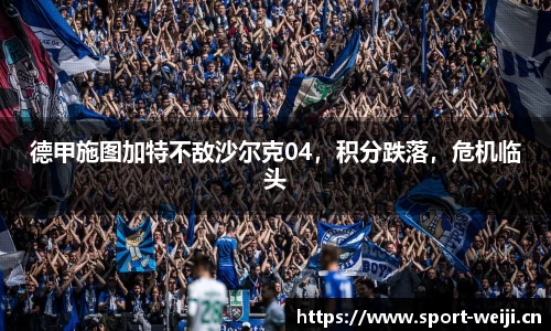 维基体育平台