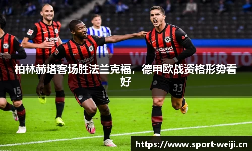 维基体育