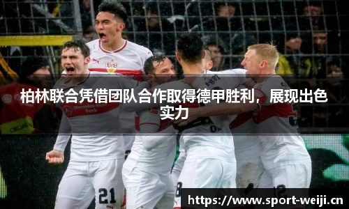 维基体育官方网站