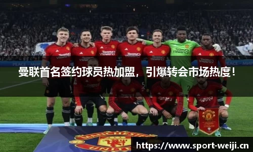 维基体育
