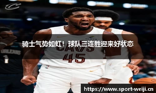 维基体育平台