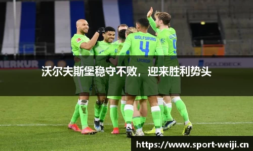 维基体育