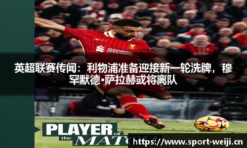 维基体育