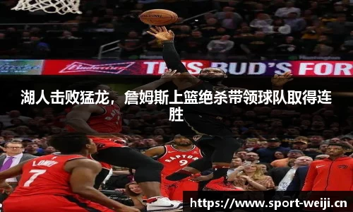 维基体育官网