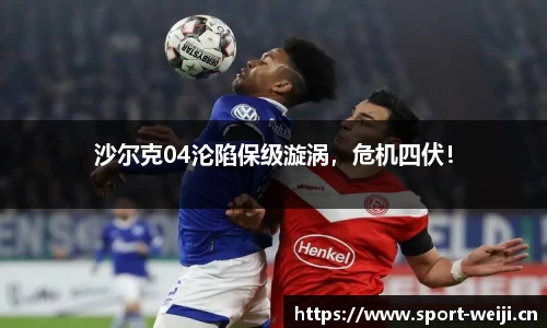 维基体育官网
