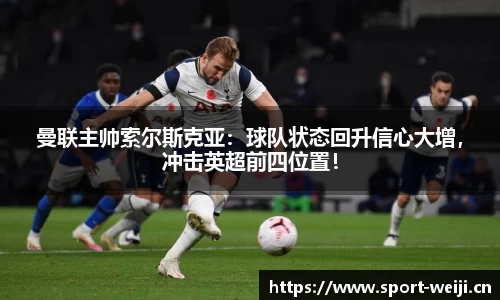 维基体育