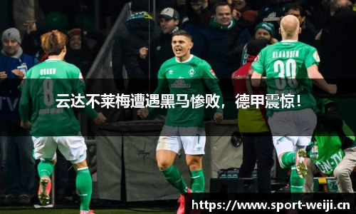 维基体育