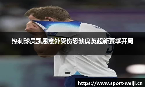 维基体育