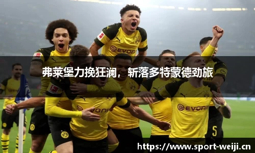 维基体育平台