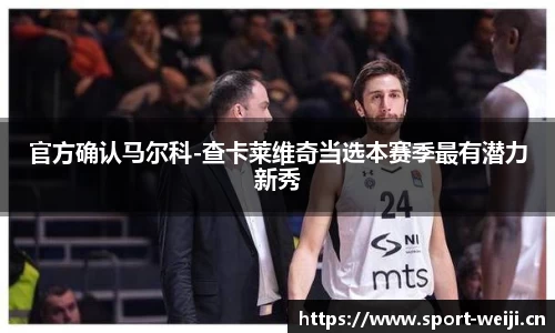 维基体育官方网站