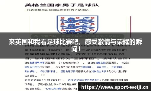 维基体育