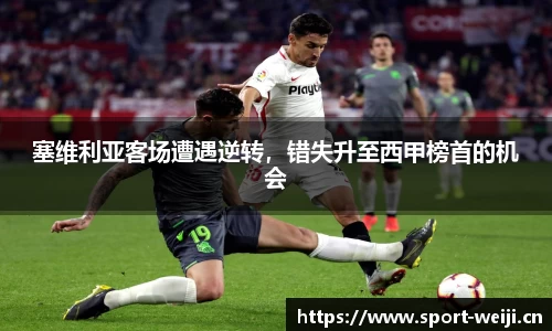 维基体育官方网站