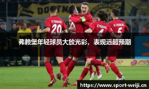 维基体育官网