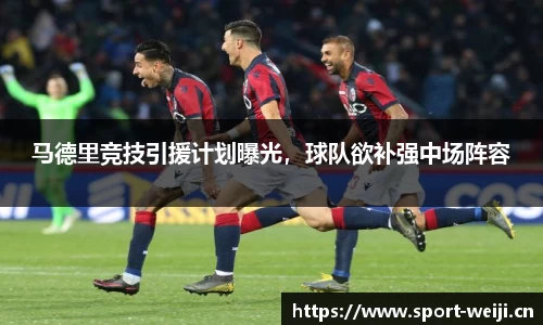 维基体育官网
