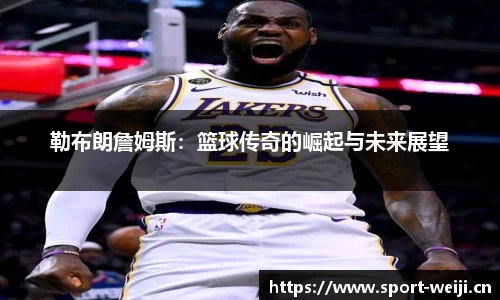 维基体育