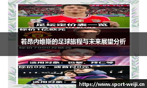 维基体育