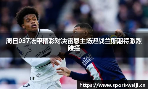 维基体育