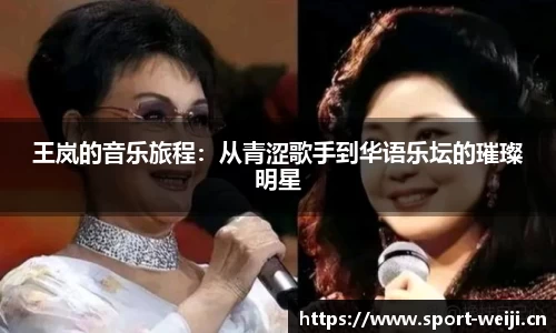 王岚的音乐旅程：从青涩歌手到华语乐坛的璀璨明星
