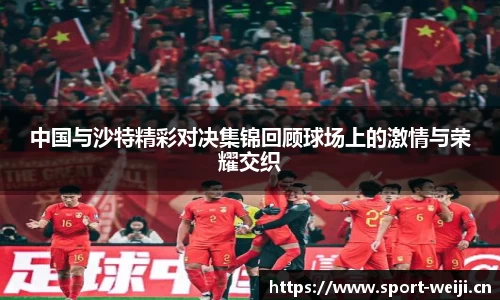 维基体育